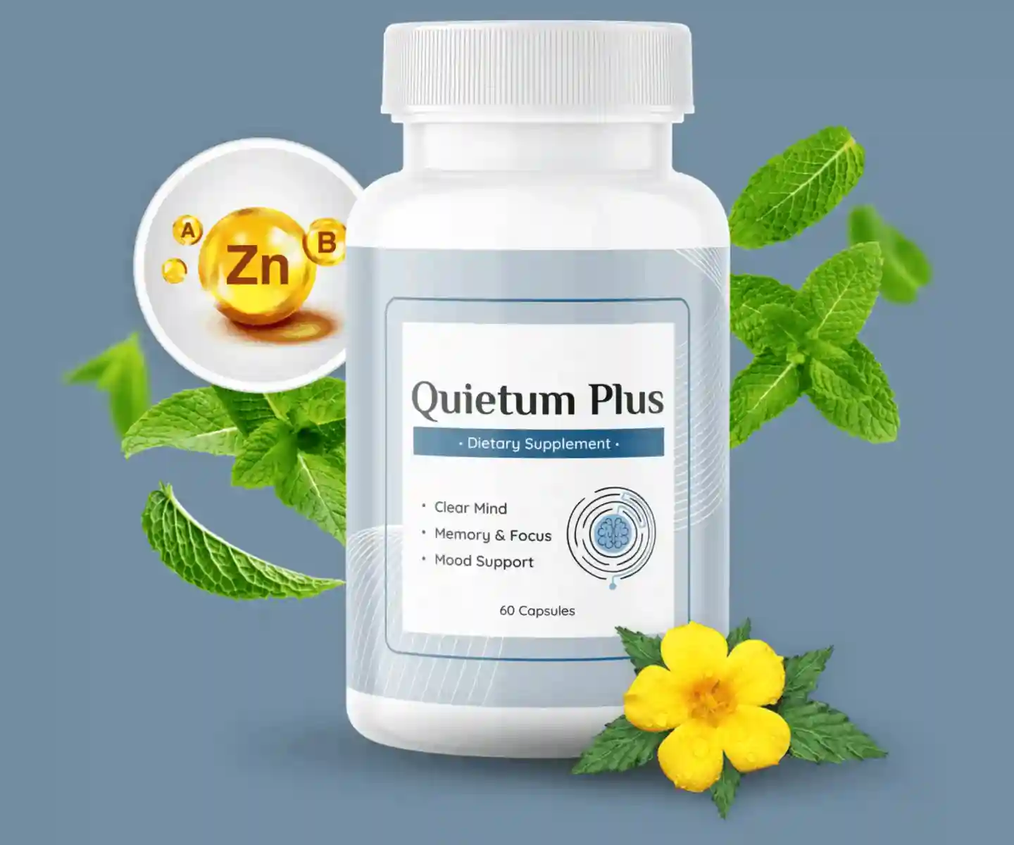 quietum plus